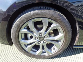 FORD Focus 1.5 EcoBlue 115 CV automatico 5p. ST-Line X