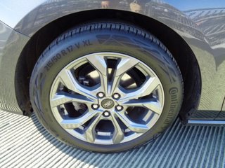 FORD Focus 1.0 EcoBoost Hybrid 125 CV 5p. ST-Line Style