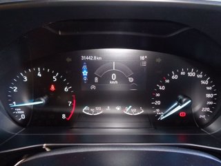 FORD Focus 1.0 EcoBoost Hybrid 125 CV 5p. ST-Line Style