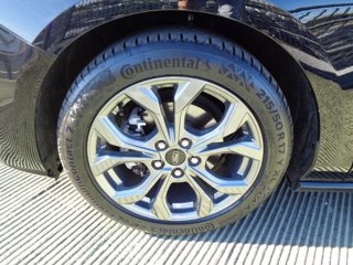 FORD Focus 1.0 EcoBoost Hybrid 125 CV 5p. ST-Line X