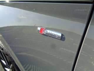 AUDI Q5 SPB 40 TDI quattro S tronic S line plus