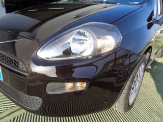 FIAT Punto 1.2 8V 5 porte Lounge