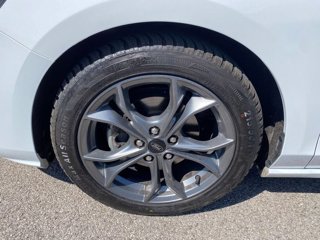FORD Focus 1.5 EcoBlue 120 CV 5p. ST-Line
